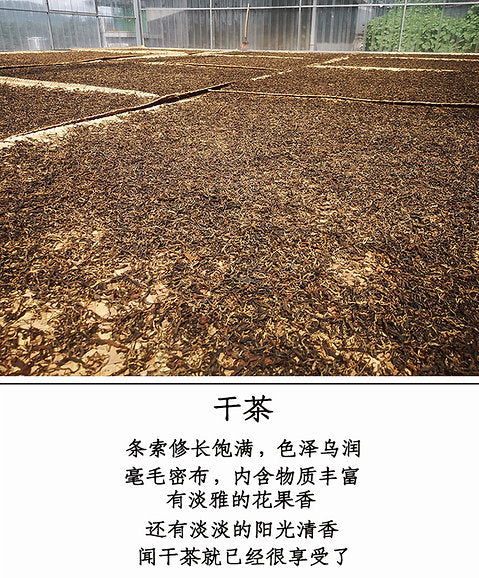 Yi Wu Mountain Ancient Tree Black Tea