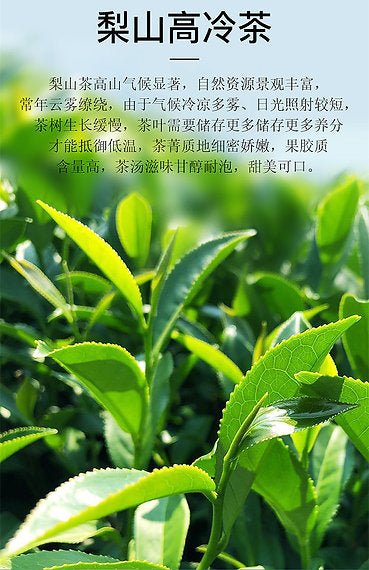 Li Shan Mountain Taiwanese Oolong Tea