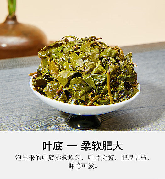 Taiwanese Jin Xuan High-mountain Milk Oolong Tea