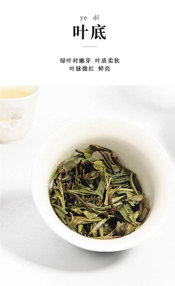 White Peony Tea/Bai Mu Dan White Tea