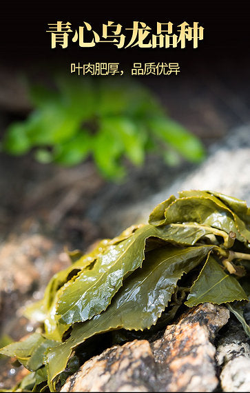 Li Shan Mountain Taiwanese Oolong Tea