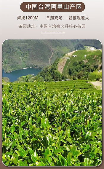 Taiwanese Jin Xuan High-mountain Milk Oolong Tea